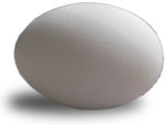 egg.jpg (6960 bytes)