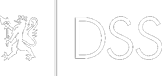 DSS
